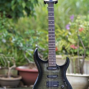 Fernandes FGZ400