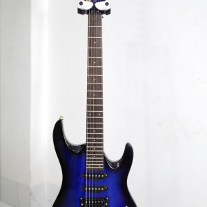 Aria Pro II Series Gold Hardware 24FR