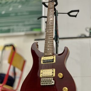 PRS SE Custom 24